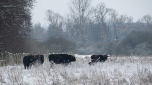 Handlungsfelder Naturerleben